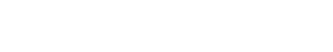 Bandai Namco Aces Inc.
